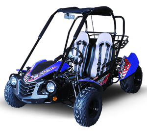 TrailMaster Blazer 200 Buggy Go Kart