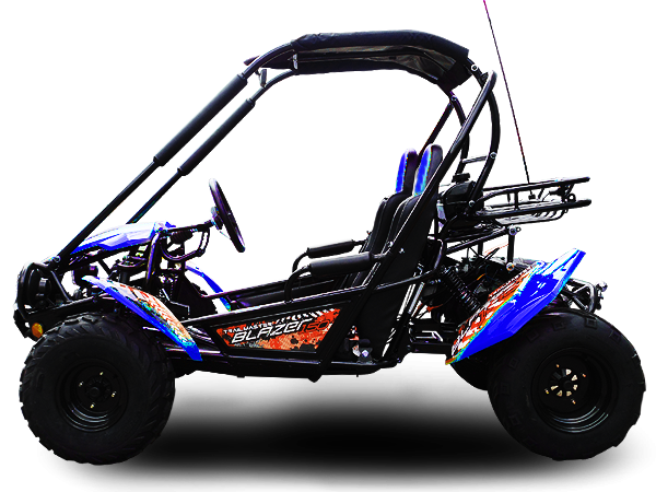 TrailMaster Blazer 200 Buggy Go Kart