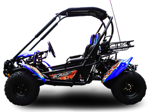 TrailMaster Blazer 200 Buggy Go Kart