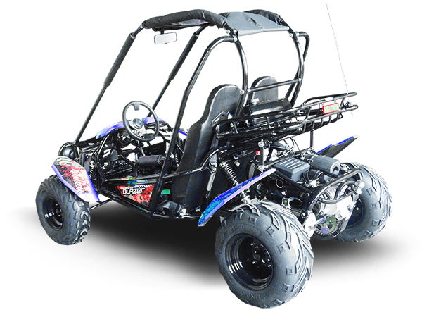 TrailMaster Blazer 200 Buggy Go Kart