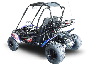 TrailMaster Blazer 200 Buggy Go Kart