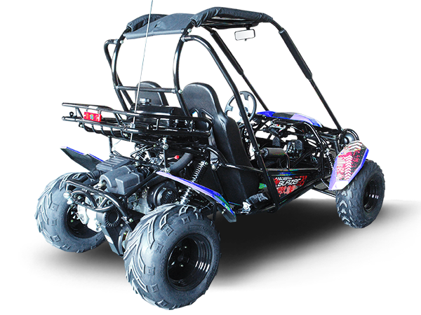 TrailMaster Blazer 200 Buggy Go Kart