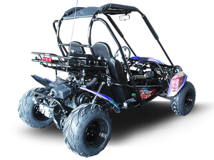 TrailMaster Blazer 200 Buggy Go Kart