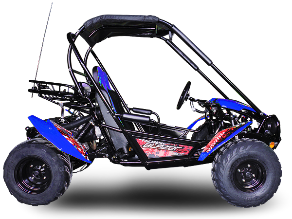 TrailMaster Blazer 200 Buggy Go Kart