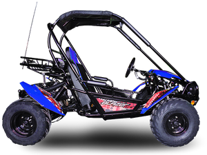 TrailMaster Blazer 200 Buggy Go Kart