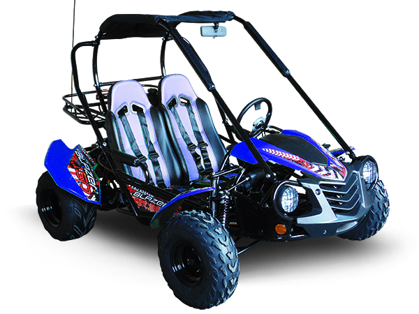 TrailMaster Blazer 200 Buggy Go Kart