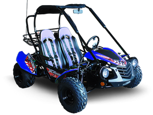 TrailMaster Blazer 200 Buggy Go Kart