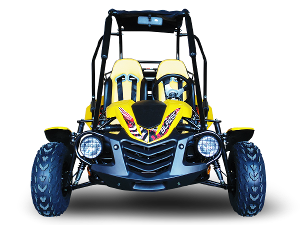 TrailMaster Blazer 200 Buggy Go Kart