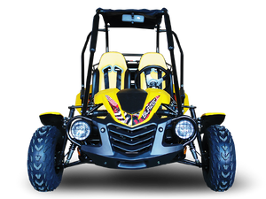 TrailMaster Blazer 200 Buggy Go Kart