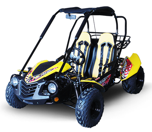 TrailMaster Blazer 200 Buggy Go Kart