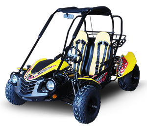 TrailMaster Blazer 200 Buggy Go Kart