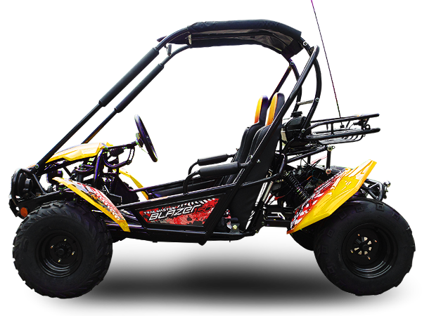 TrailMaster Blazer 200 Buggy Go Kart