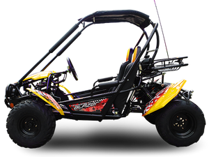 TrailMaster Blazer 200 Buggy Go Kart