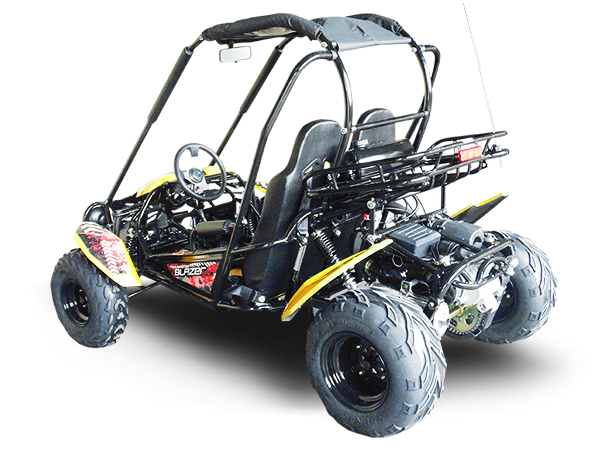 TrailMaster Blazer 200 Buggy Go Kart