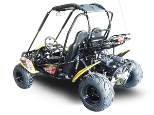 TrailMaster Blazer 200 Buggy Go Kart