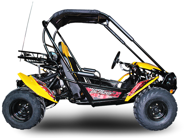 TrailMaster Blazer 200 Buggy Go Kart