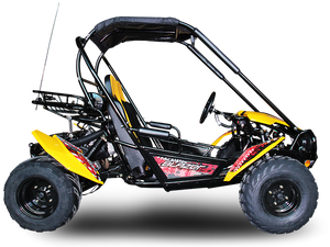 TrailMaster Blazer 200 Buggy Go Kart