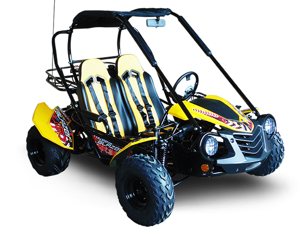 TrailMaster Blazer 200 Buggy Go Kart