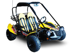 TrailMaster Blazer 200 Buggy Go Kart