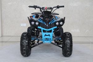 TrailMaster C125 125cc Sport ATV, Automatic with Reverse, 8 inch Wheels, Ages 12 and up - GoKarts USA®