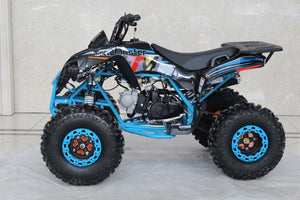 TrailMaster C125 125cc Sport ATV, Automatic with Reverse, 8 inch Wheels, Ages 12 and up - GoKarts USA®