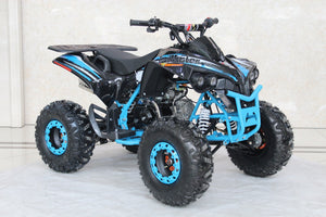 TrailMaster C125 125cc Sport ATV, Automatic with Reverse, 8 inch Wheels, Ages 12 and up - GoKarts USA®