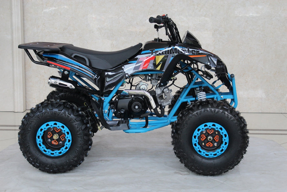 TrailMaster C125 125cc Sport ATV, Automatic with Reverse, 8 inch Wheels, Ages 12 and up - GoKarts USA®