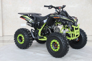 TrailMaster C125 125cc Sport ATV, Automatic with Reverse, 8 inch Wheels, Ages 12 and up - GoKarts USA®