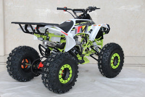 TrailMaster C125 125cc Sport ATV, Automatic with Reverse, 8 inch Wheels, Ages 12 and up - GoKarts USA®