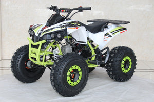 TrailMaster C125 125cc Sport ATV, Automatic with Reverse, 8 inch Wheels, Ages 12 and up - GoKarts USA®