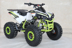 TrailMaster C125 125cc Sport ATV, Automatic with Reverse, 8 inch Wheels, Ages 12 and up - GoKarts USA®