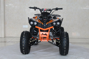 TrailMaster C125 125cc Sport ATV, Automatic with Reverse, 8 inch Wheels, Ages 12 and up - GoKarts USA®