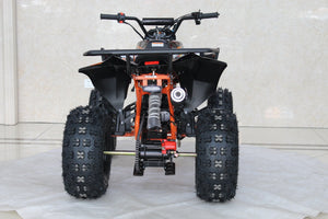 TrailMaster C125 125cc Sport ATV, Automatic with Reverse, 8 inch Wheels, Ages 12 and up - GoKarts USA®