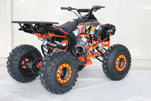 TrailMaster C125 125cc Sport ATV, Automatic with Reverse, 8 inch Wheels, Ages 12 and up - GoKarts USA®