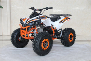 TrailMaster C125 125cc Sport ATV, Automatic with Reverse, 8 inch Wheels, Ages 12 and up - GoKarts USA®