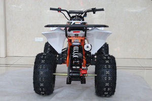 TrailMaster C125 125cc Sport ATV, Automatic with Reverse, 8 inch Wheels, Ages 12 and up - GoKarts USA®