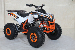 TrailMaster C125 125cc Sport ATV, Automatic with Reverse, 8 inch Wheels, Ages 12 and up - GoKarts USA®