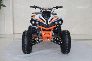 TrailMaster C125 125cc Sport ATV, Automatic with Reverse, 8 inch Wheels, Ages 12 and up - GoKarts USA®