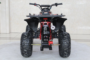 TrailMaster C125 125cc Sport ATV, Automatic with Reverse, 8 inch Wheels, Ages 12 and up - GoKarts USA®