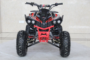 TrailMaster C125 125cc Sport ATV, Automatic with Reverse, 8 inch Wheels, Ages 12 and up - GoKarts USA®