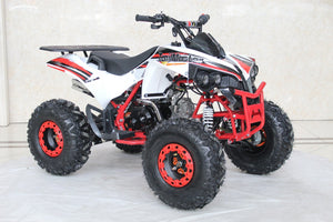 TrailMaster C125 125cc Sport ATV, Automatic with Reverse, 8 inch Wheels, Ages 12 and up - GoKarts USA®