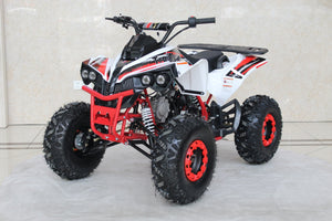 TrailMaster C125 125cc Sport ATV, Automatic with Reverse, 8 inch Wheels, Ages 12 and up - GoKarts USA®