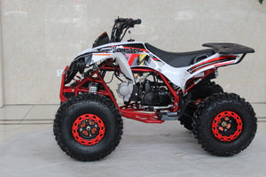 TrailMaster C125 125cc Sport ATV, Automatic with Reverse, 8 inch Wheels, Ages 12 and up - GoKarts USA®