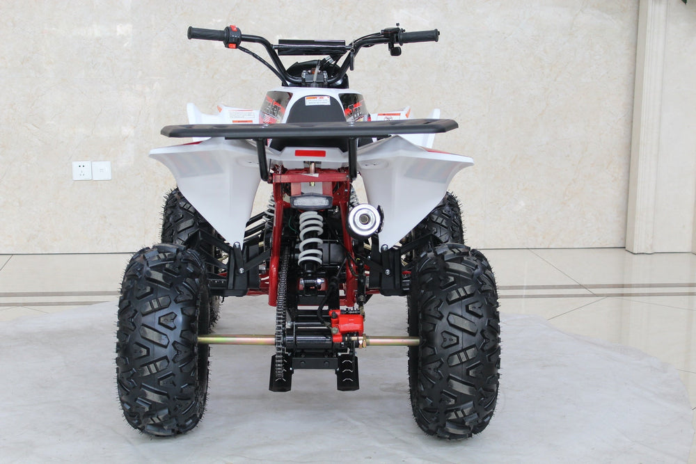 TrailMaster C125 125cc Sport ATV, Automatic with Reverse, 8 inch Wheels, Ages 12 and up - GoKarts USA®