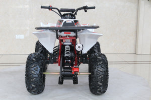 TrailMaster C125 125cc Sport ATV, Automatic with Reverse, 8 inch Wheels, Ages 12 and up - GoKarts USA®