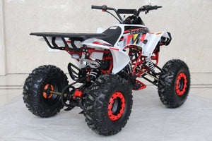 TrailMaster C125 125cc Sport ATV, Automatic with Reverse, 8 inch Wheels, Ages 12 and up - GoKarts USA®