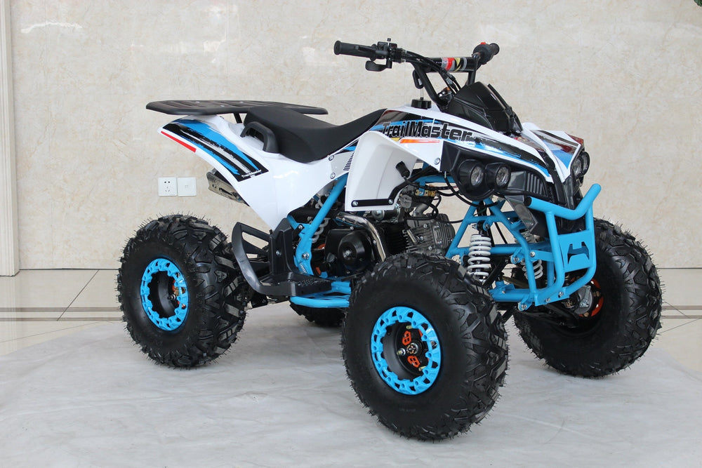 TrailMaster C125 125cc Sport ATV, Automatic with Reverse, 8 inch Wheels, Ages 12 and up - GoKarts USA®