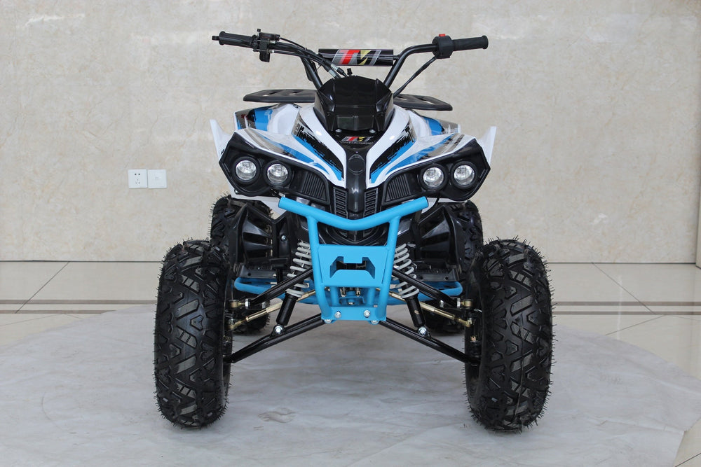 TrailMaster C125 125cc Sport ATV, Automatic with Reverse, 8 inch Wheels, Ages 12 and up - GoKarts USA®