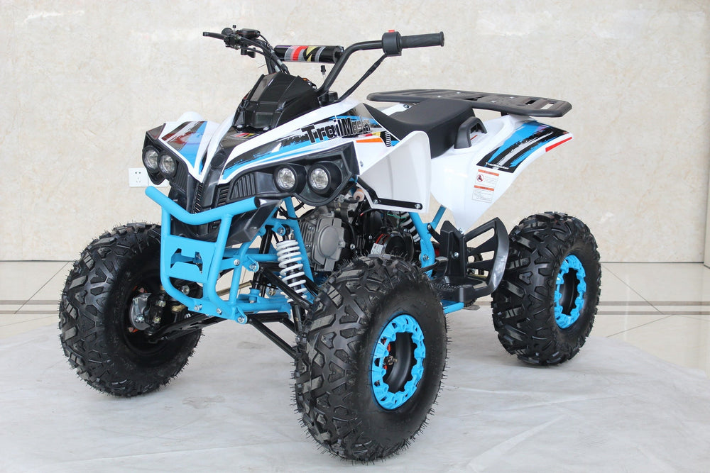 TrailMaster C125 125cc Sport ATV, Automatic with Reverse, 8 inch Wheels, Ages 12 and up - GoKarts USA®