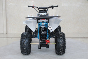 TrailMaster C125 125cc Sport ATV, Automatic with Reverse, 8 inch Wheels, Ages 12 and up - GoKarts USA®